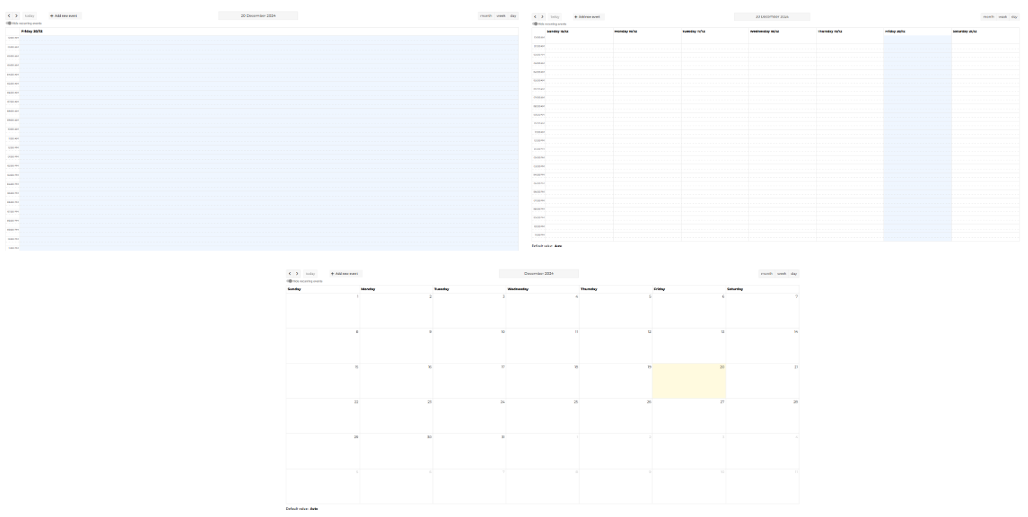 MultipleCalendarViews-20241220-140726.png